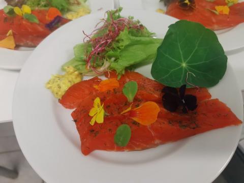 Gravlax de truite