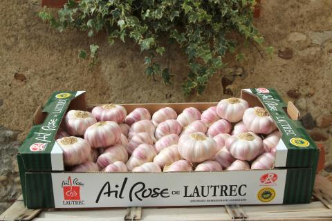 Plateau d'ail rose de Lautrec