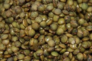 Lentilles vertes
