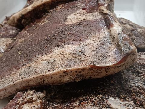 Charcuteries de porcs Mangalitza
