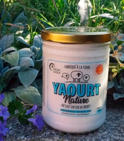 Yaourts au lait de brebis