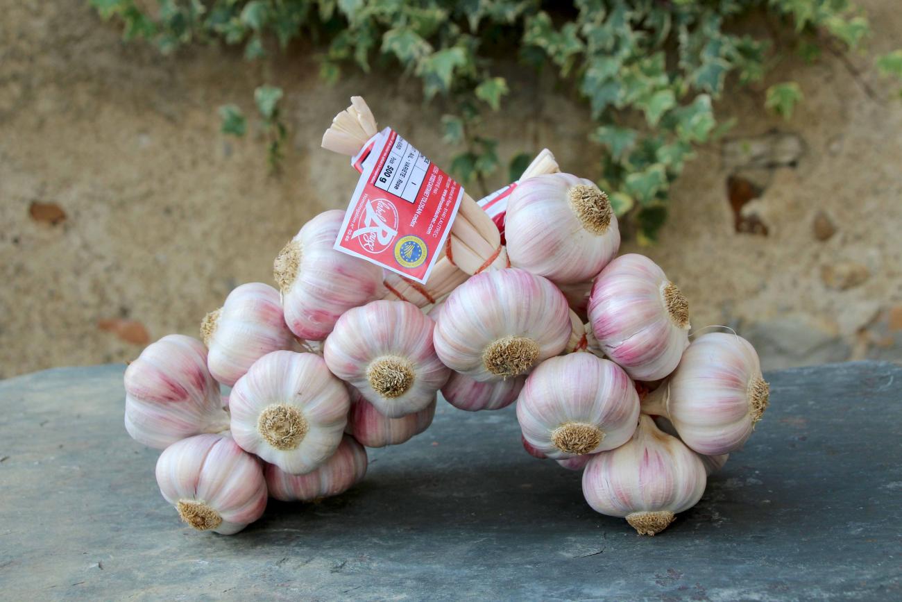 Manouille d'ail rose de Lautrec