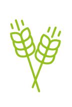 logo pain et nature
